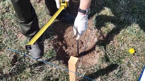 Как сделать сваи под дом. Процесс заливки свай