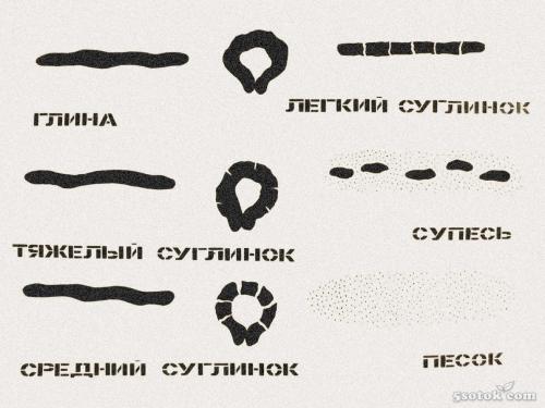 Как определить, готов ли почвенный субстрат для посадки плодовых деревьев. Какой должна быть земля для саженца, чтобы он прижился