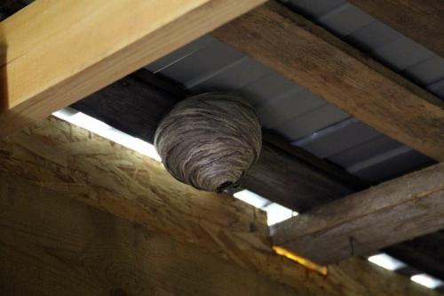 Строительство крыльца для дачного домика с навесом: подходы и материалы 24 Строительство крыльца для дачного домика с навесом: подходы и материалы 24