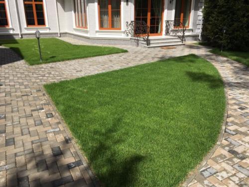 Самый благоприятный период для пересадки деревьев в 2023 году 06