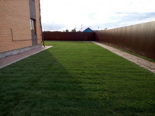 Самый благоприятный период для пересадки деревьев в 2023 году 04