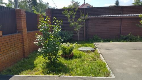 Самый благоприятный период для пересадки деревьев в 2023 году 01