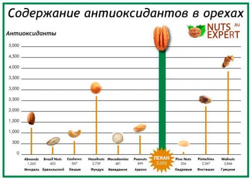 Маленькие белые орешки, как называются. Состав ореха и его свойства