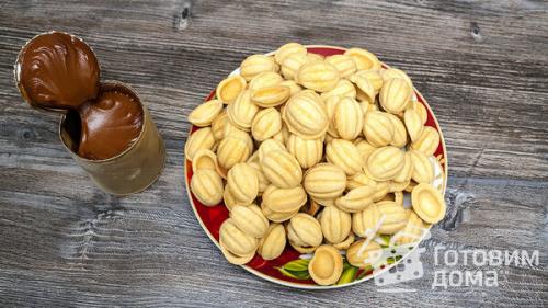 Маленькие белые орешки. Разновидности орехов с названиями и описанием 04