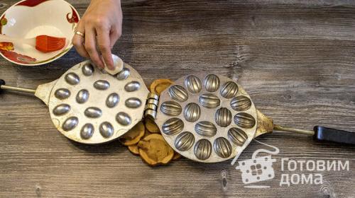 Маленькие белые орешки. Разновидности орехов с названиями и описанием 02