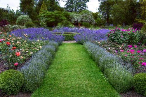 Цветы для бордюра вдоль дорожек. Низкорослые бордюрные цветы однолетние и многолетние, фото на клумбах