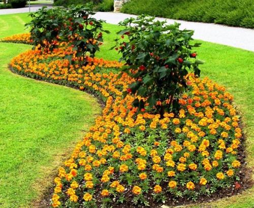 Цветы для бордюра вдоль дорожек. Низкорослые бордюрные цветы однолетние и многолетние, фото на клумбах