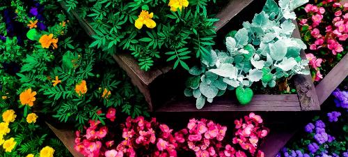 Как сделать клумбу из камня: простой способ создания красивого садового украшения 23 Как сделать клумбу из камня: простой способ создания красивого садового украшения 23