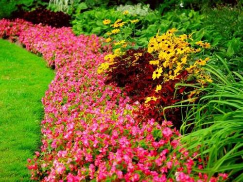 Что такое клумба. Клумбы и цветники - в чем разница