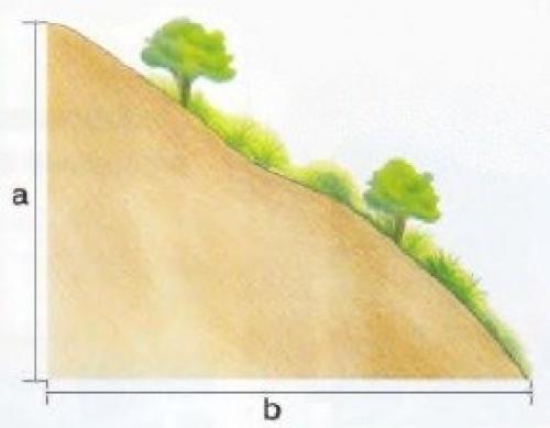 Какие особенности ландшафта можно использовать для создания уникального дизайна участка на даче