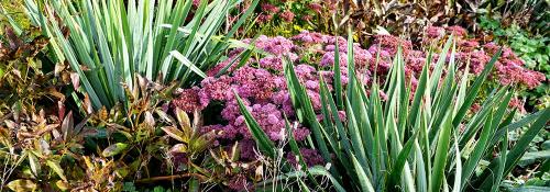 Как сделать клумбу из камня: простой способ создания красивого садового украшения 21 Как сделать клумбу из камня: простой способ создания красивого садового украшения 21