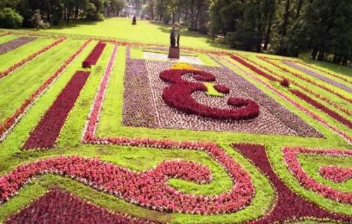 Какие растения лучше всего выращивать в клумбах