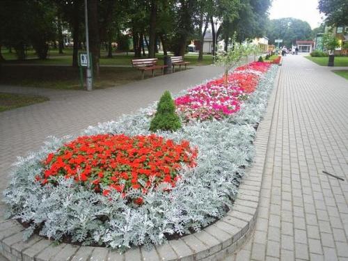 Что такое клумба. Клумбы и цветники - в чем разница