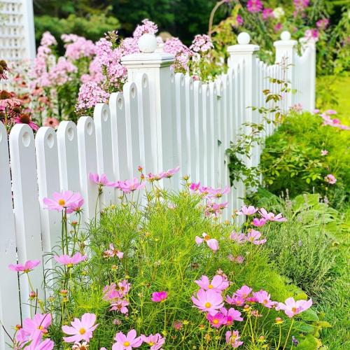 Что посадить возле дома. Деревья возле дома — виды которые можно и нельзя сажать. 100 фото лучших вариантов для посадки 16 Что посадить возле дома. Деревья возле дома — виды которые можно и нельзя сажать. 100 фото лучших вариантов для посадки 16