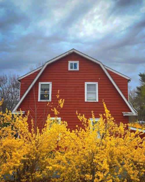 Что посадить возле дома. Деревья возле дома — виды которые можно и нельзя сажать. 100 фото лучших вариантов для посадки 15 Что посадить возле дома. Деревья возле дома — виды которые можно и нельзя сажать. 100 фото лучших вариантов для посадки 15