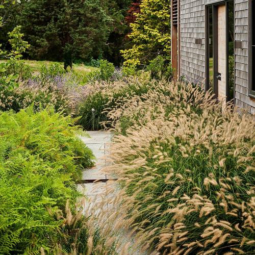 Что посадить возле дома. Деревья возле дома — виды которые можно и нельзя сажать. 100 фото лучших вариантов для посадки 19 Что посадить возле дома. Деревья возле дома — виды которые можно и нельзя сажать. 100 фото лучших вариантов для посадки 19