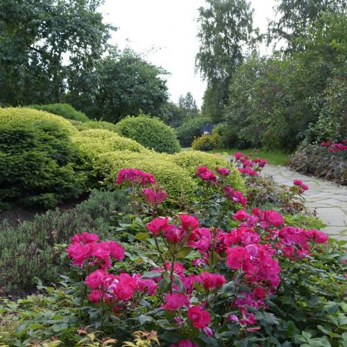 Что посадить возле дома. Деревья возле дома — виды которые можно и нельзя сажать. 100 фото лучших вариантов для посадки 23 Что посадить возле дома. Деревья возле дома — виды которые можно и нельзя сажать. 100 фото лучших вариантов для посадки 23