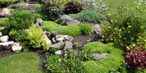 Рокарий в ландшафтном дизайне схемы. Рокарий в ландшафтном дизайне 08