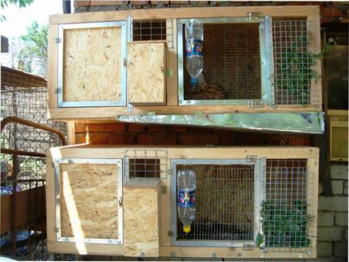 Крольчатник своими руками чертежи. Крольчатник своими руками: лучшие схемы, чертежи с фото, готовая инструкция постройки, выбор места крольчатника (полезные советы)