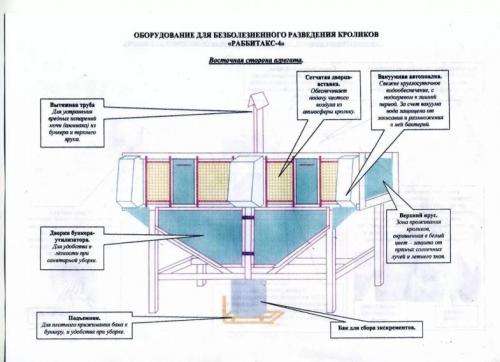 Крольчатник своими руками чертежи. Крольчатник своими руками: лучшие схемы, чертежи с фото, готовая инструкция постройки, выбор места крольчатника (полезные советы)