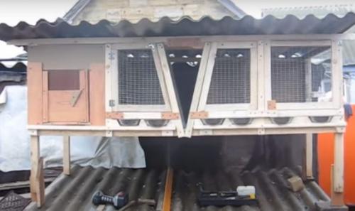 Крольчатник своими руками чертежи. Крольчатник своими руками: лучшие схемы, чертежи с фото, готовая инструкция постройки, выбор места крольчатника (полезные советы)