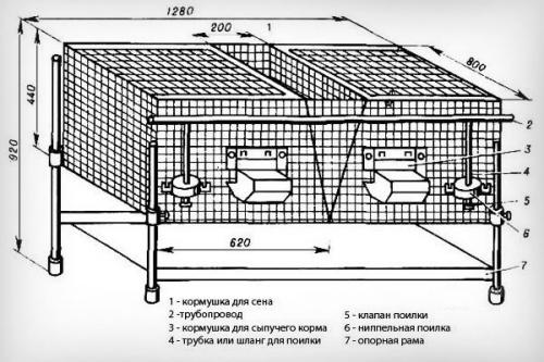 Крольчатник для кроликов. Размеры клетки и составление чертежа