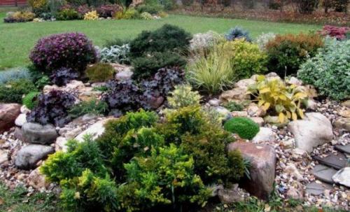 Рокарий на даче. Самые распространенные стили рокариев