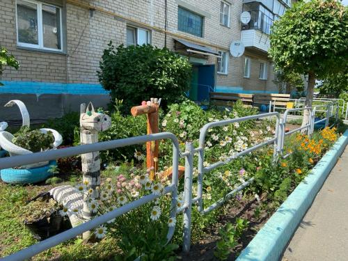 Какие полисадники можно увидеть в деревне