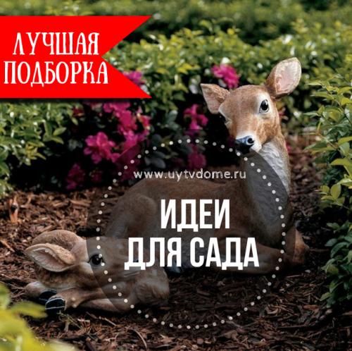 Дизайн сада в частном доме. Более 190 самых лучших идей для сада своими руками