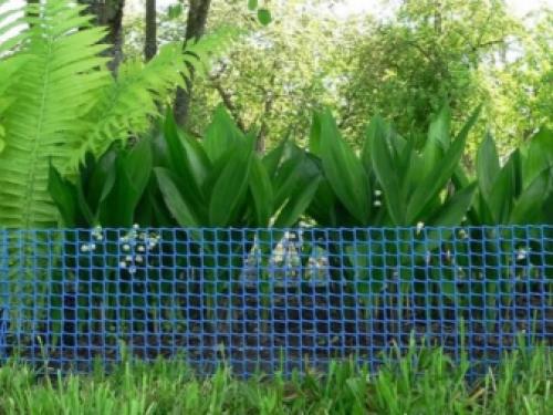 Палисадник из сетки. Как правильно покрасить решётку 01 Палисадник из сетки. Как правильно покрасить решётку 01