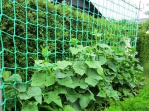 Палисадник из сетки. Как правильно покрасить решётку 12 Палисадник из сетки. Как правильно покрасить решётку 12