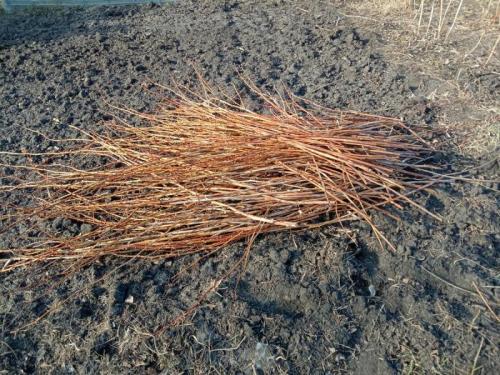 Плетеные бордюры для клумб. Как я делаю плетеный бордюр для высоких грядок