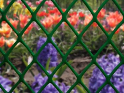 Палисадник из сетки. Как правильно покрасить решётку 13 Палисадник из сетки. Как правильно покрасить решётку 13