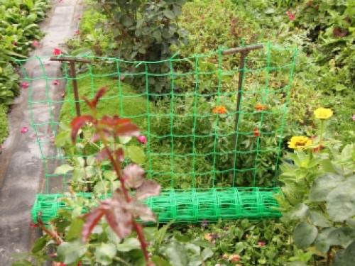 Палисадник из сетки. Как правильно покрасить решётку 11 Палисадник из сетки. Как правильно покрасить решётку 11