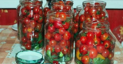 Уксус для помидор. Помидоры на зиму с уксусом — 10 рецептов маринованных помидоров