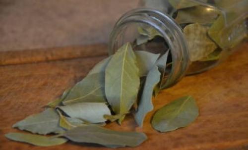 Уксус для помидор. Помидоры на зиму с уксусом — 10 рецептов маринованных помидоров