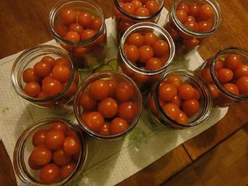 Уксус для помидор. Помидоры на зиму с уксусом — 10 рецептов маринованных помидоров