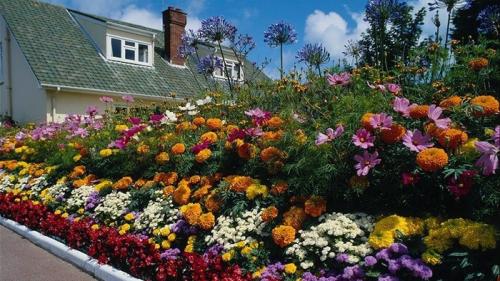 Как сделать клумбу своими руками из подручных материалов. Виды