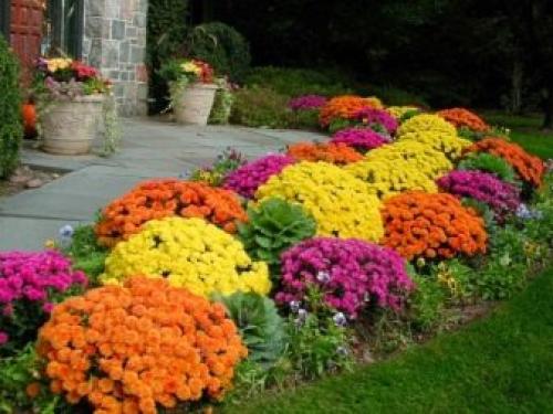 Как сделать клумбу для цветов. Особенности 02