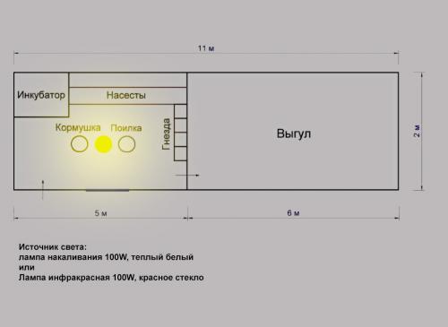 Как обеспечить удобство и комфорт для кур