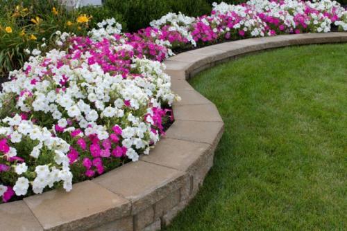 Как сделать круглую клумбу из кирпича. Как сделать клумбу из кирпича своими руками: идеи оформления, преимущества применения и правила размещения (125 фото)