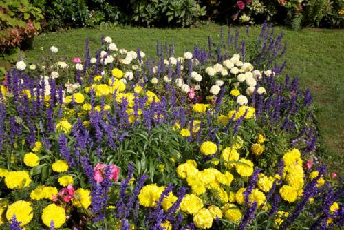 Пересадка цветов на газон: простой способ создать клумбы 01 Пересадка цветов на газон: простой способ создать клумбы 01