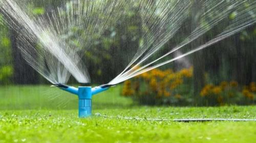 Как обеспечить правильное полив растений в клумбе на газон. Все о поливе газона