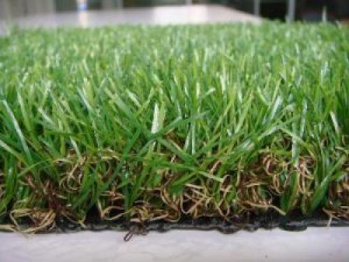 Как правильно ухаживать за цветочным газоном