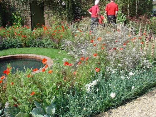 Какие инструменты и оборудование необходимо для создания луга с полевыми цветами. Дизайнерский луг: как создать сезонный луговой миксбордер