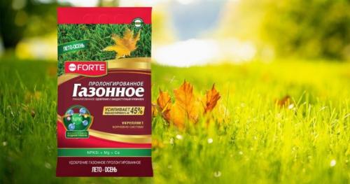 Какие удобрения можно использовать для подкормки газонной смеси с цветами. Рекомендации по сезонам