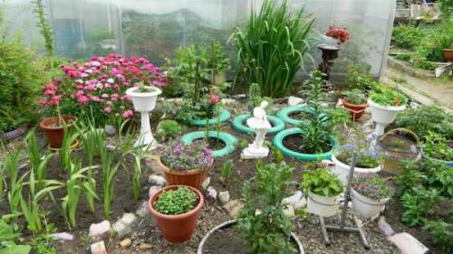 Уксус 70 от сорняков. Сделала особый состав и избавилась от сорняков