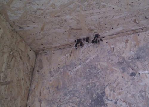 Какие материалы используются для строительства каркасных домов