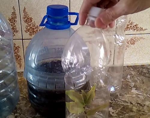 Что можно сделать из горлышек пластиковых бутылок. Горлышки от бутылок