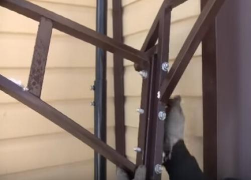 Козырек над крыльцом за 1 день своими руками. Козырек из поликарбоната